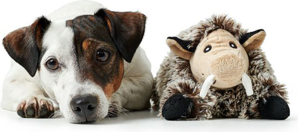 Изображение товара Игрушка для собак HUNTER Faro Pig / 67449