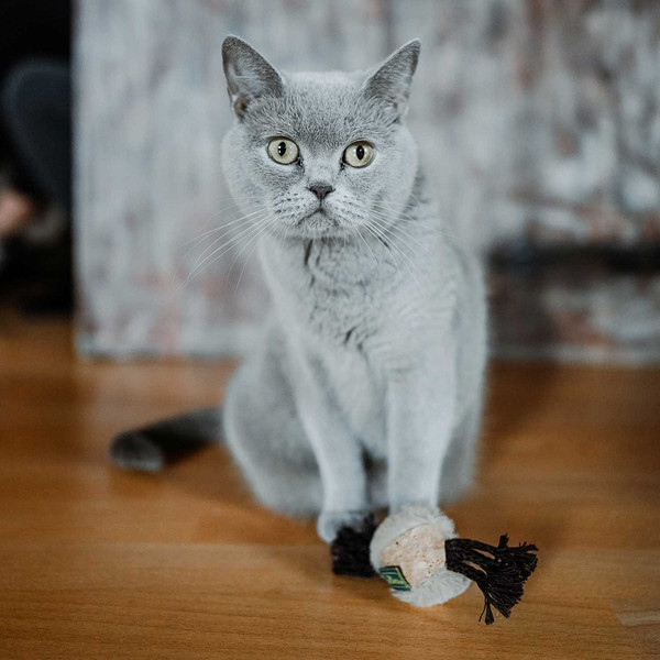 Изображение товара Игрушка для кошек HUNTER Moa Ball / 67736