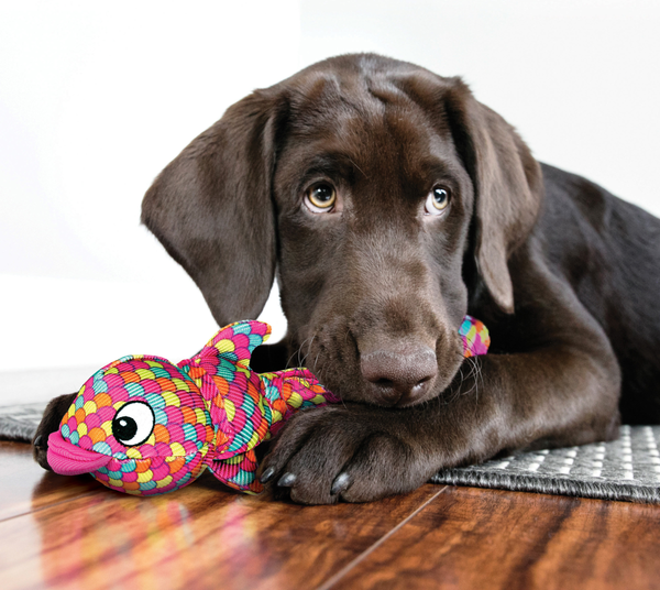 Изображение товара Игрушка для собак KONG Wubba Finz L / 68465