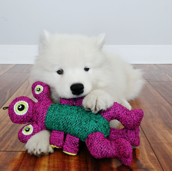 Изображение товара Игрушка для собак KONG Woozles Pink M / 68859