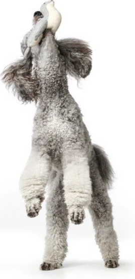 Изображение товара Игрушка для собак HUNTER Skagen Seal M / 69003 (серый)