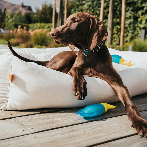 Изображение товара Игрушка для собак HUNTER Aqua Alaska Octopus / 69041