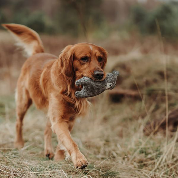 Изображение товара Игрушка для собак HUNTER Billund Bear / 69352