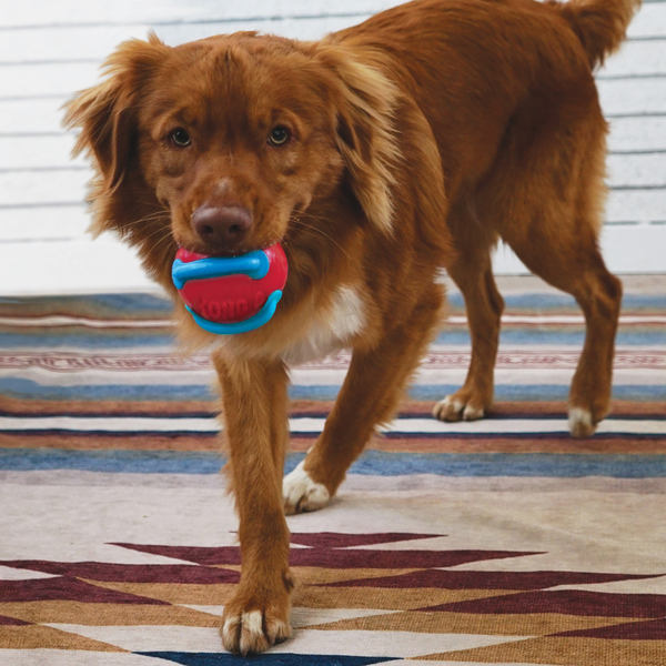 Изображение товара Игрушка для собак KONG Jaxx Brights Ball Assor M / 69719
