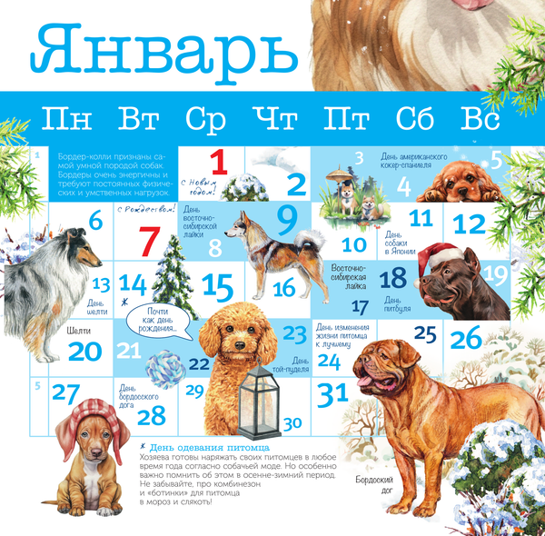 Изображение товара Календарь настенный АСТ Собаки мира. 2025 год / 9785171639891