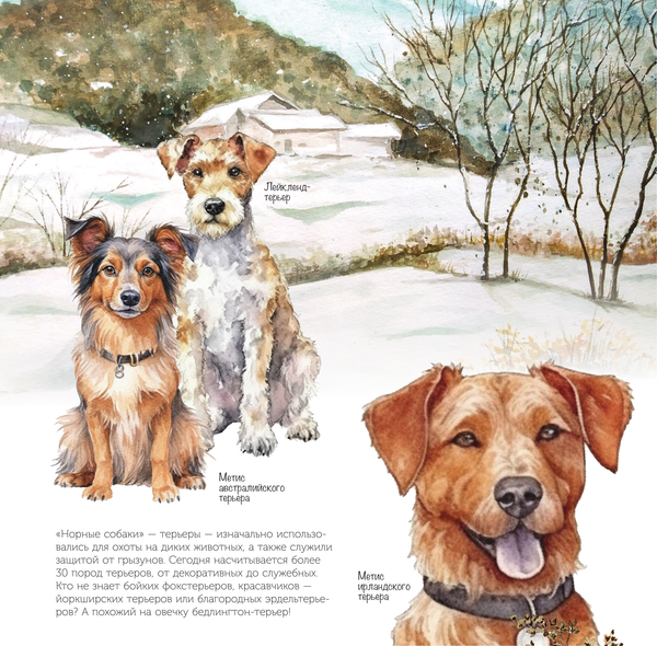 Изображение товара Календарь настенный АСТ Собаки мира. 2025 год / 9785171639891