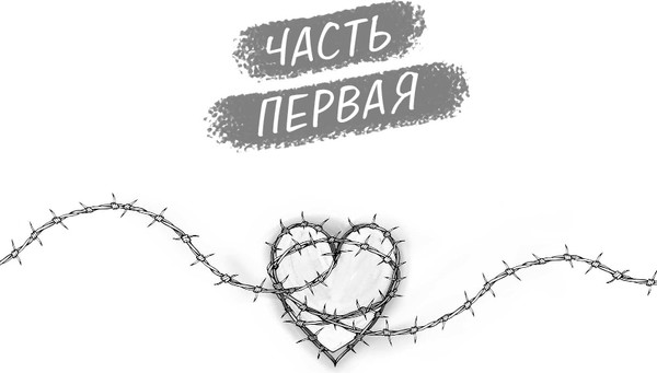 Изображение товара Книга Like Book Адвокат киллера, твердая обложка (Баунт Софи )