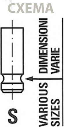 Изображение товара Впускной клапан двигателя Freccia R6148/RCR