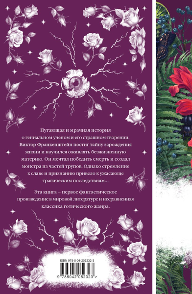 Изображение товара Художественная книга Эксмо Франкенштейн твердая обложка (Шелли Мэри)