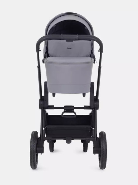 Изображение товара Детская универсальная коляска Rant Flex 2в1 / RA076 (Grey)