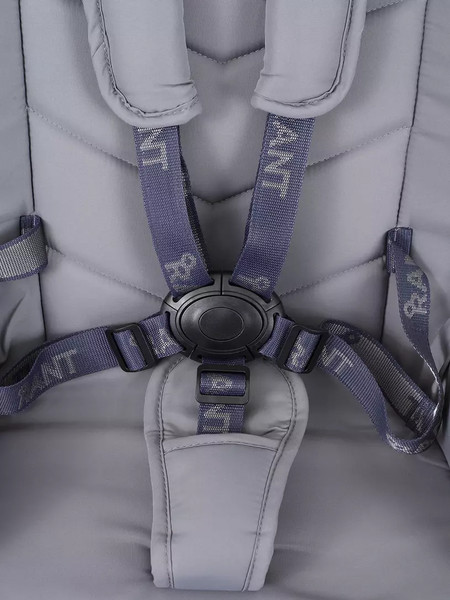 Изображение товара Детская универсальная коляска Rant Flex 2в1 / RA076 (Grey)