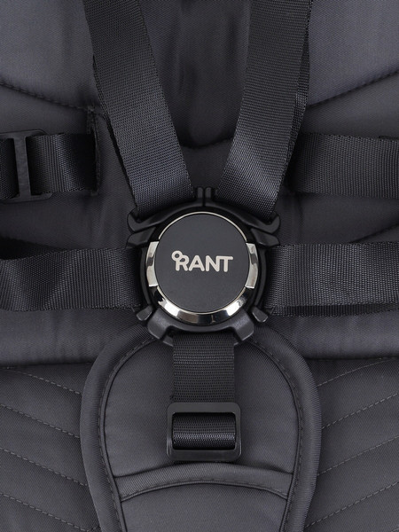 Изображение товара Детская универсальная коляска Rant Flex 2в1 / RA076 (Graphite)