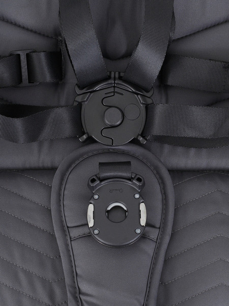 Изображение товара Детская универсальная коляска Rant Flex 2в1 / RA076 (Graphite)