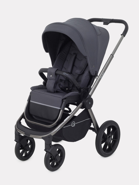 Изображение товара Детская универсальная коляска Rant Flex 2в1 / RA076 (Graphite)