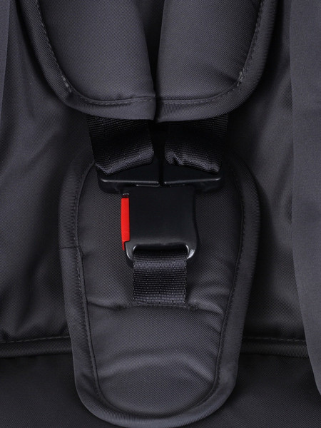 Изображение товара Детская универсальная коляска Rant Flex 2в1 / RA076 (Graphite)