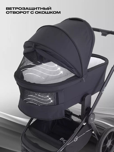 Изображение товара Детская универсальная коляска Rant Flex 2в1 / RA076 (Black)