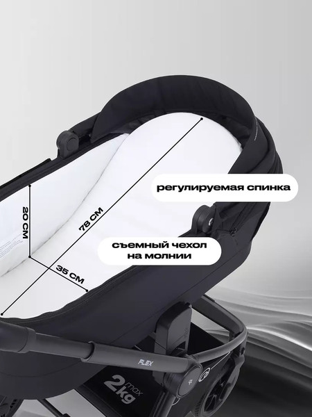 Изображение товара Детская универсальная коляска Rant Flex 2в1 / RA076 (Black)