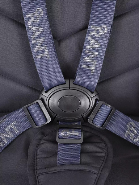 Изображение товара Детская универсальная коляска Rant Flex 2в1 / RA076 (Black)