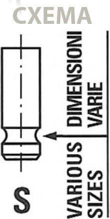 Изображение товара Впускной клапан двигателя Freccia R6530/SNT