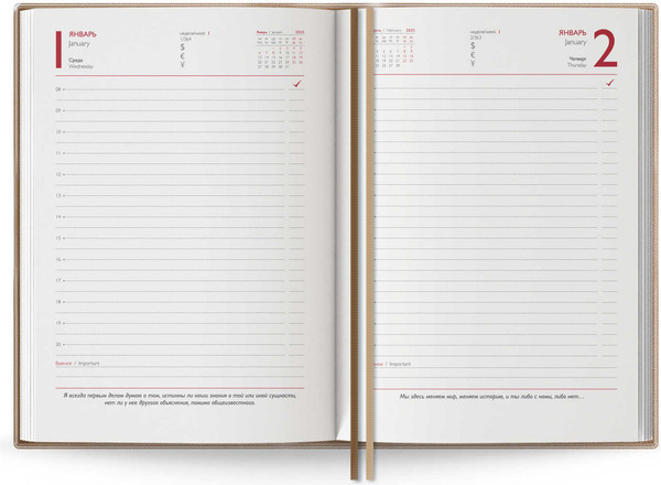 Изображение товара Ежедневник Escalada Илон Маск. Кассандра 2025 / 67004 (176л, бежевый)