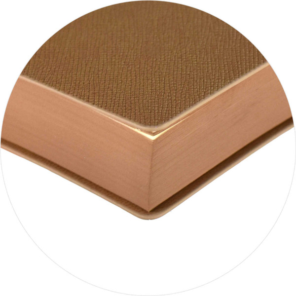 Изображение товара Ежедневник Escalada Илон Маск. Кассандра 2025 / 67004 (176л, бежевый)