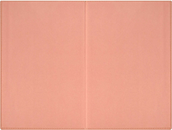 Изображение товара Ежедневник Escalada Илон Маск. Руффо / 66970 (176л, розовый)