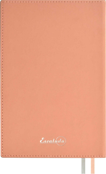 Изображение товара Ежедневник Escalada Илон Маск. Руффо / 66970 (176л, розовый)