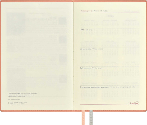 Изображение товара Ежедневник Escalada Илон Маск. Руффо / 66970 (176л, розовый)