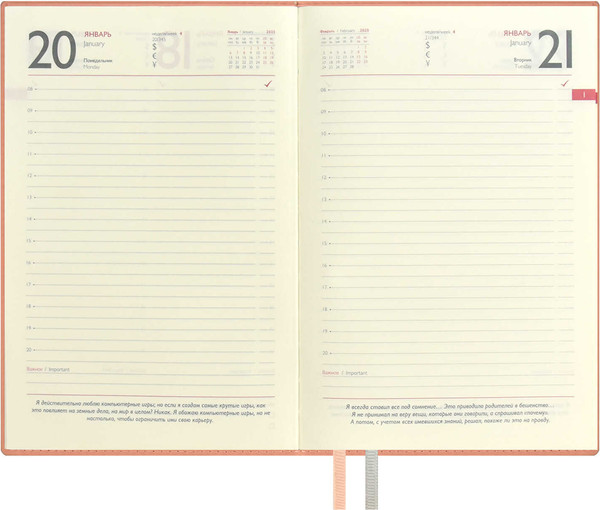 Изображение товара Ежедневник Escalada Илон Маск. Руффо / 66970 (176л, розовый)