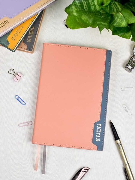 Изображение товара Ежедневник Escalada Илон Маск. Руффо / 66970 (176л, розовый)