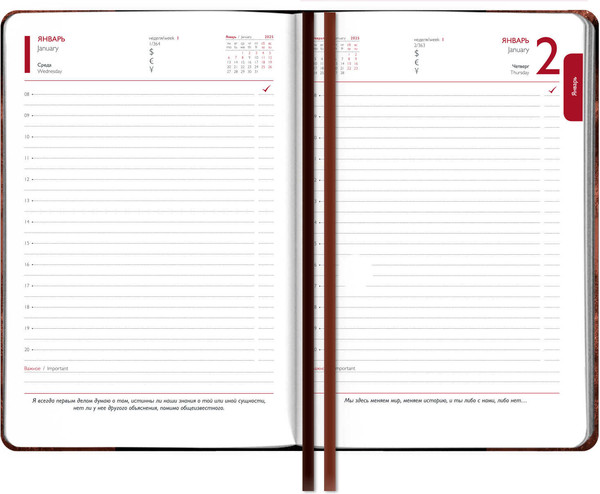 Изображение товара Ежедневник Escalada Илон Маск. Тиволи Глосс / 66979 (176л, коричневый)