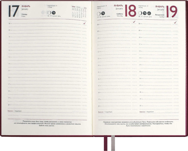 Изображение товара Ежедневник Escalada Нумерологический. Шиммер / 67001 (176л, бордовый)