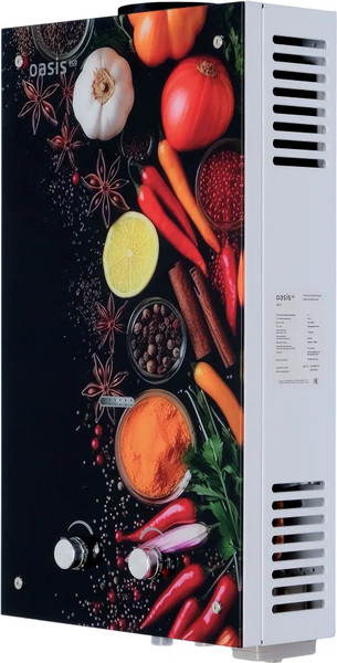 Изображение товара Газовая колонка Oasis Eco 24 О