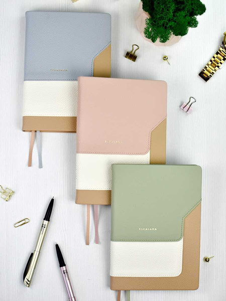 Изображение товара Ежедневник Escalada Лайка / 70597 (160л, светло-зеленый)