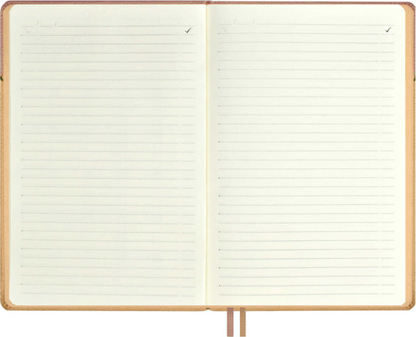 Изображение товара Ежедневник Escalada Лайка / 67221 (160л, пепельно-коралловый)