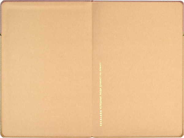 Изображение товара Ежедневник Escalada Лайка / 67221 (160л, пепельно-коралловый)