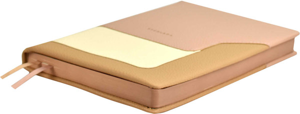 Изображение товара Ежедневник Escalada Лайка / 67221 (160л, пепельно-коралловый)