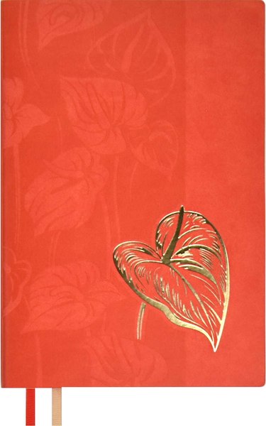 Изображение товара Ежедневник Escalada Виннер + ручка шариковая / 67169 (120л, красный)