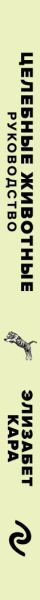 Изображение товара Гадальные карты Эксмо Целебные животные / 9785041850357 (Кара Элизабет)