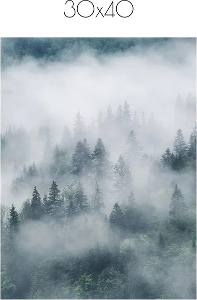 Изображение товара Постер Citydecor Природа 8 (30x40)