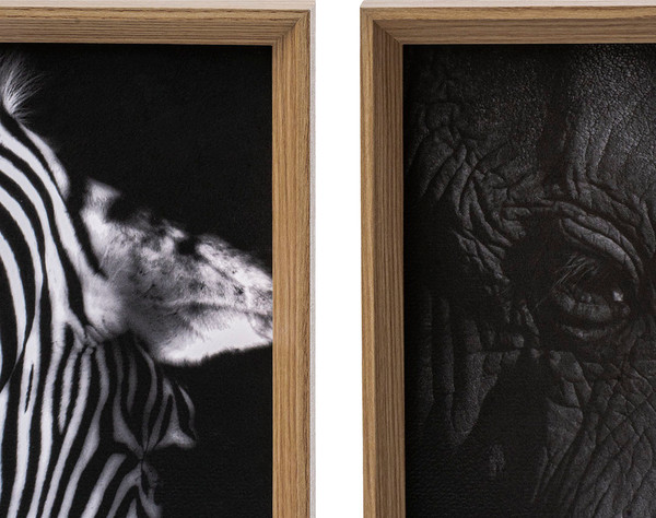 Изображение товара Картины Вещицы Сафари Sof-12 (2шт, черный)