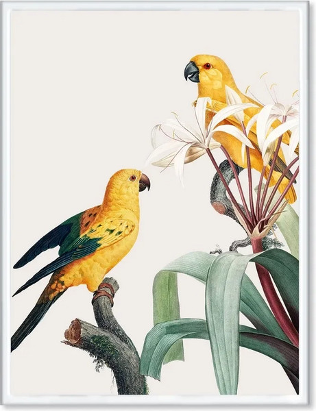 Изображение товара Постер Citydecor Попугайчики 1 (30x40)