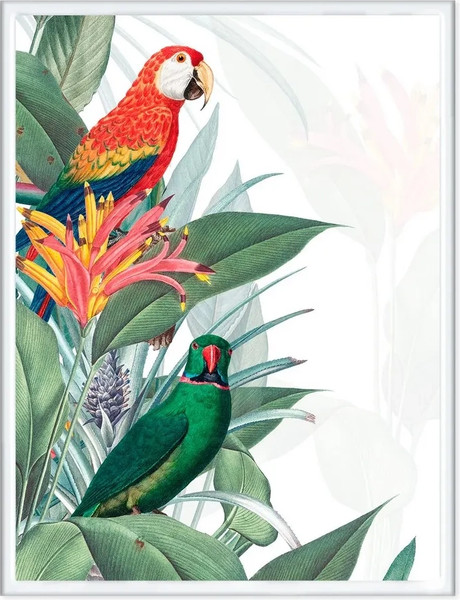 Изображение товара Постер Citydecor Попугайчики 8 (30x40)