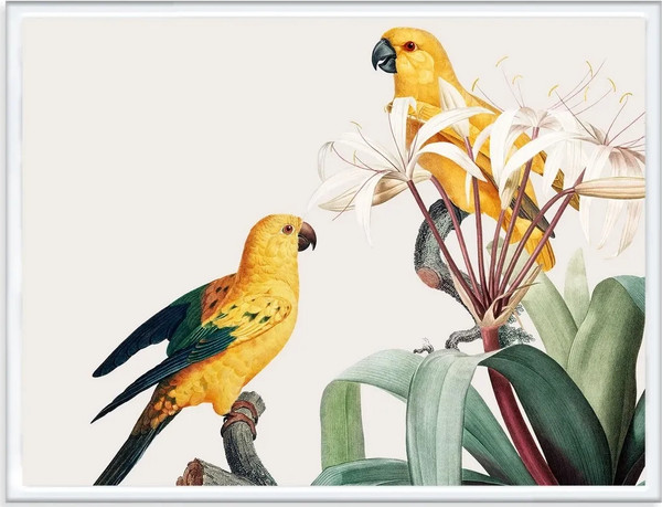 Изображение товара Постер Citydecor Попугайчики 9 (30x40)