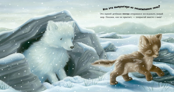 Изображение товара Книга CLEVER В стране снежных чудес твердая обложка (Фридман Клэр)