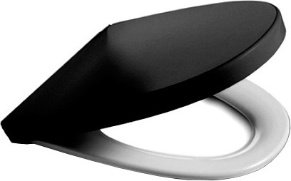 Изображение товара Сиденье для унитаза Roca Victoria Nord ZRU9000101 (черный/белый)