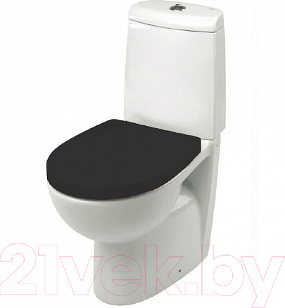 Изображение товара Сиденье для унитаза Roca Victoria Nord ZRU9000101 (черный/белый)