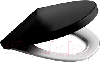 Изображение товара Сиденье для унитаза Roca Victoria Nord ZRU9000101 (черный/белый)