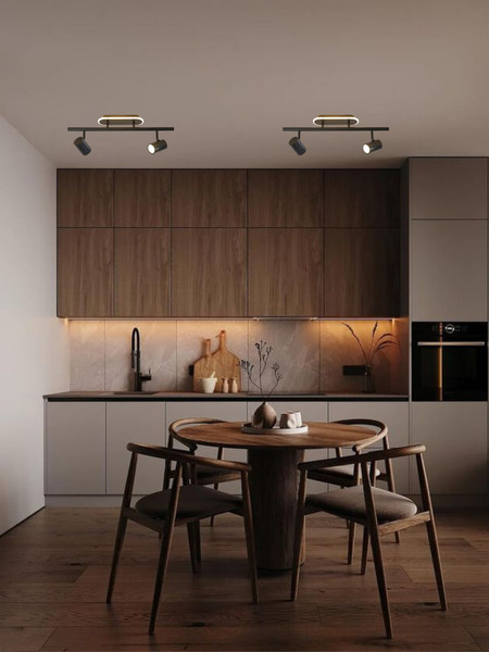 Изображение товара Спот Aitin-Pro CH8009/2 (черный)