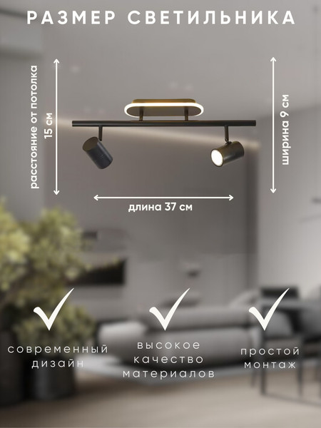 Изображение товара Спот Aitin-Pro CH8009/2 (черный)